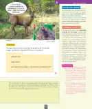 Miniatura página 142 de Ciencias Naturales – Segundo Básico | Texto del Estudiante MINEDUC – Descargar PDF · 2024