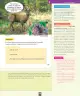 Miniatura página 142 de Ciencias Naturales – Segundo Básico | Texto del Estudiante MINEDUC – Descargar PDF · 2024