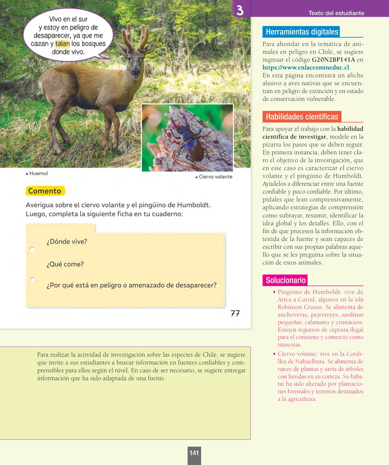Página 142