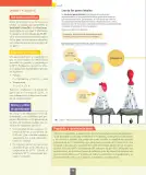 Miniatura página 51 de Ciencias Naturales – Séptimo Básico | Texto del Estudiante MINEDUC – Descargar PDF · 2024