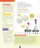 Miniatura página 51 de Ciencias Naturales – Séptimo Básico | Texto del Estudiante MINEDUC – Descargar PDF · 2024