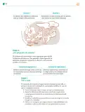 Miniatura página 105 de Colección Sk´asolil. Nuestro libro de Proyectos.  Tomo II.  Libro de Educación Telesecundaria Grado 2°  Ciclo Escolar 2025 - 2026