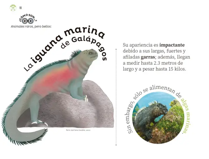Página 19 de Múltiples lenguajes. Libro de Educación Preescolar Grado 3° Ciclo Escolar 2025 - 2026
