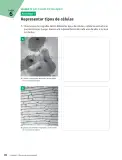 Miniatura página 91 de Ciencias Naturales – Séptimo Básico | Texto del Estudiante MINEDUC – Descargar PDF · 2024