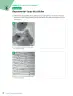 Miniatura página 91 de Ciencias Naturales – Séptimo Básico | Texto del Estudiante MINEDUC – Descargar PDF · 2024