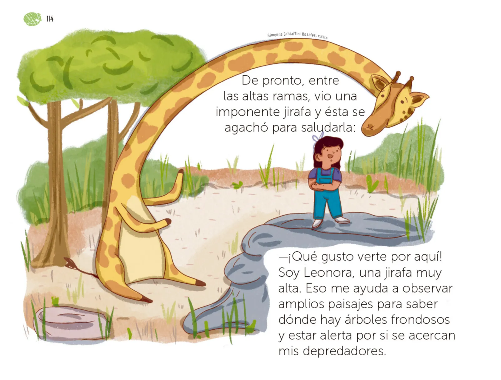 Página 115 de Múltiples lenguajes. Libro de Educación Preescolar Grado 1° Ciclo Escolar 2025 - 2026