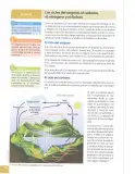 Miniatura página 97 de Ciencias Naturales 8° · Egb 8 Ciencias Naturales 2025 · 2025