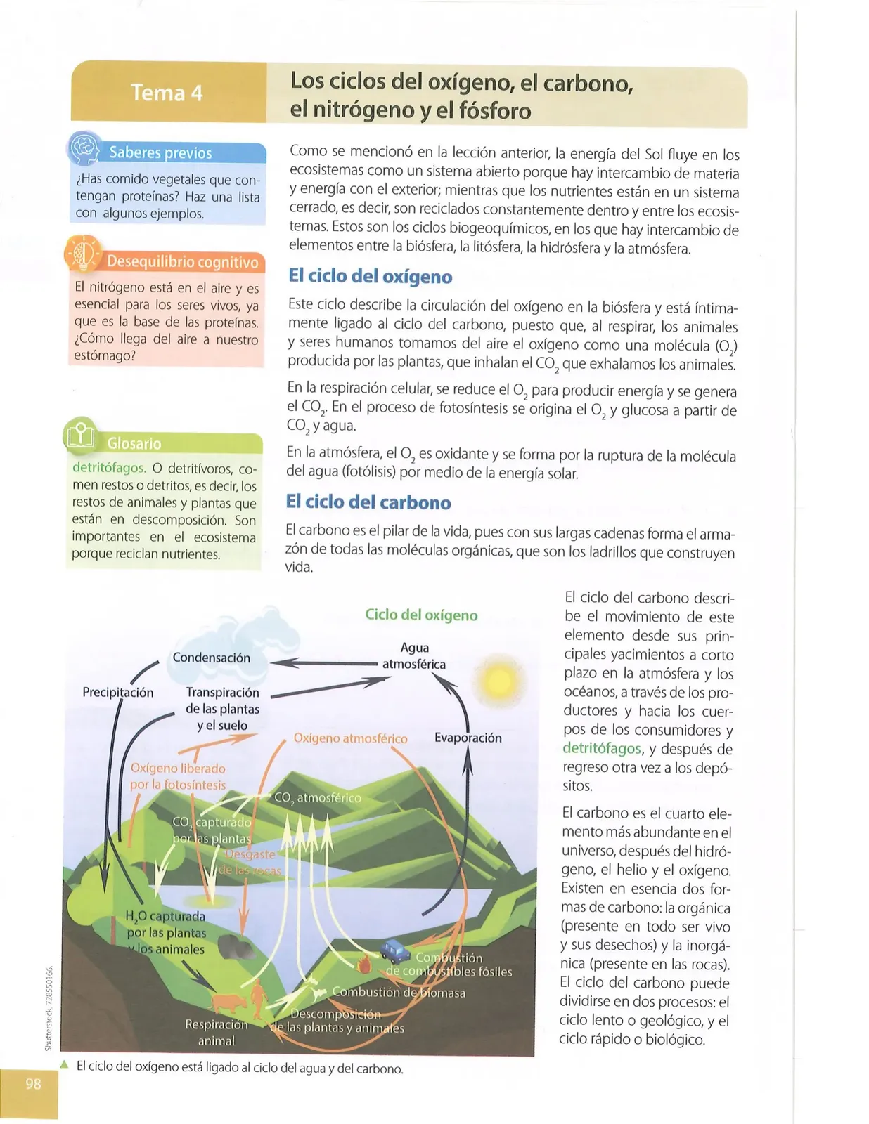 Miniatura página 97 de Ciencias Naturales · 8 EGB · 2025