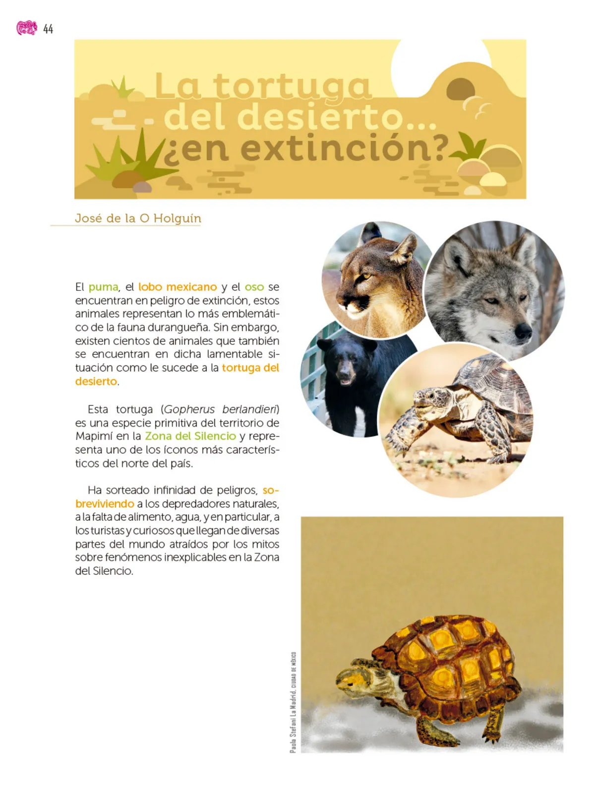 Página 45 de Colección Nanahuatzin. Múltiples lenguajes. Libro de Educación Secundaria Grado 3° Ciclo Escolar 2025 - 2026
