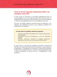 Miniatura página 24 de Orientaciones para la indagación en Matemática · 2024