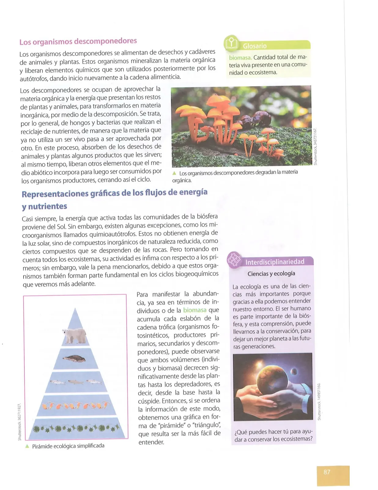 Página 86 de Ciencias Naturales · 8 EGB · 2025