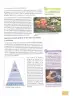 Miniatura página 86 de Ciencias Naturales 8° · Egb 8 Ciencias Naturales 2025 · 2025