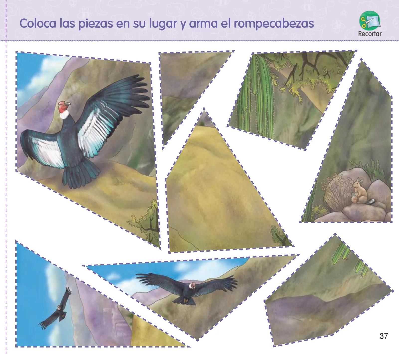 Miniatura página 39 de Crea, resuelve y aprende. Material impreso para niñas y niños de 5 años · 2024