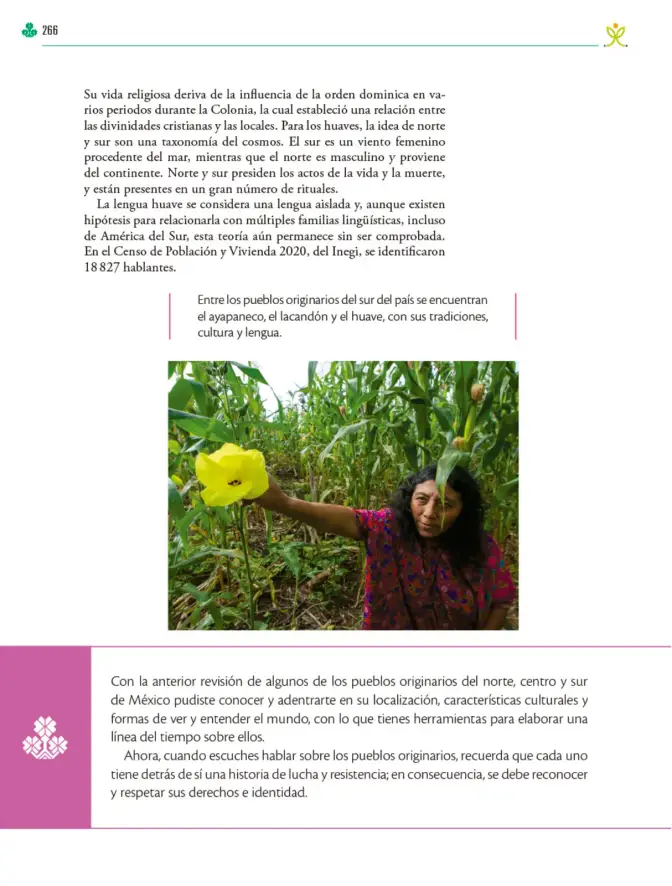 Página 267 de Colección Ximhai. Ética, naturaleza y sociedades. Libro de Educación Telesecundaria Grado 1° Ciclo Escolar 2025 - 2026