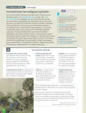 Miniatura página 114 de Historia, Geografía y Ciencias Sociales – Séptimo Básico | Texto del Estudiante MINEDUC – Descargar PDF · 2024
