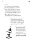 Miniatura página 122 de Colección Ximhai. Nuestro libro de Proyectos.  Tomo II.   Libro de Educación Telesecundaria Grado 1°  Ciclo Escolar 2025 - 2026