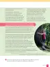 Miniatura página 35 de Lenguaje y Comunicación – Sexto Básico | Texto del Estudiante MINEDUC – Descargar PDF · 2024