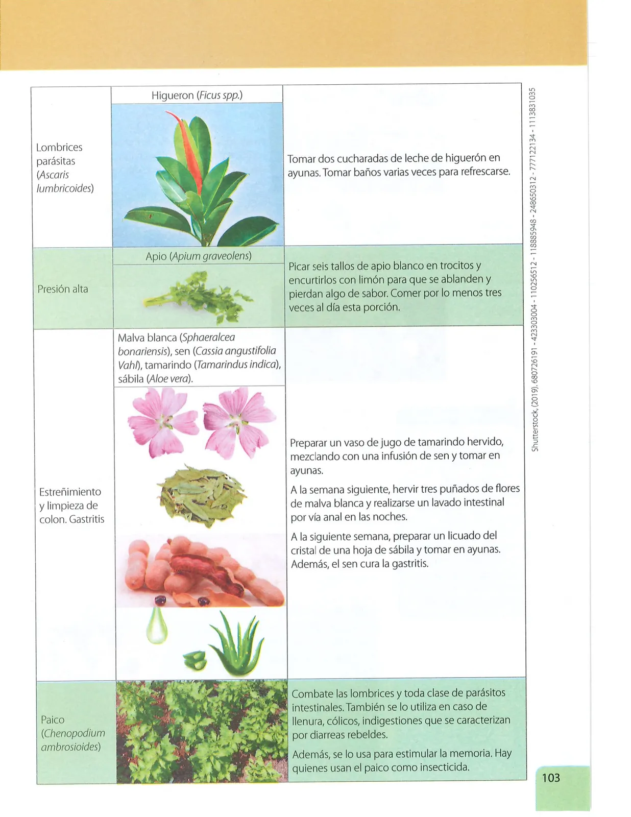 Página 102 de Ciencias Naturales · 7 EGB · 2024