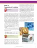 Miniatura página 85 de Ciencias Naturales 6° · Secundaria Activa