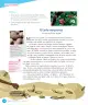Miniatura página 192 de Lenguaje y Comunicación – Cuarto Básico | Texto del Estudiante MINEDUC – Descargar PDF · 2024