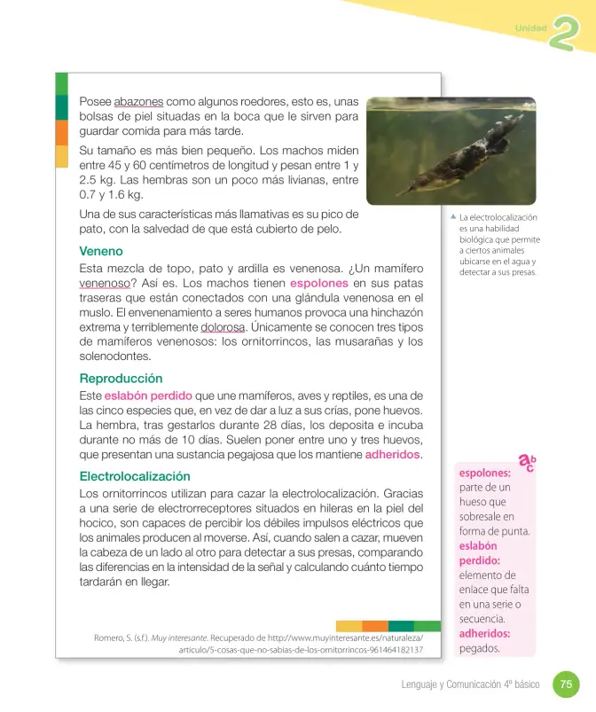 Página 189 de Lenguaje y Comunicación – Cuarto Básico | Texto del Estudiante MINEDUC – Descargar PDF · 2024