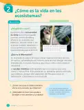 Miniatura página 160 de Ciencias Naturales – Cuarto Básico | Texto del Estudiante MINEDUC – Descargar PDF · 2024