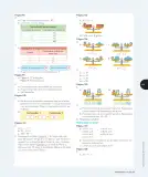 Miniatura página 306 de Matemática – Cuarto Básico | Texto del Estudiante MINEDUC – Descargar PDF · 2024