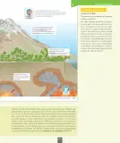 Miniatura página 118 de Ciencias Naturales – Séptimo Básico | Texto del Estudiante MINEDUC – Descargar PDF · 2024