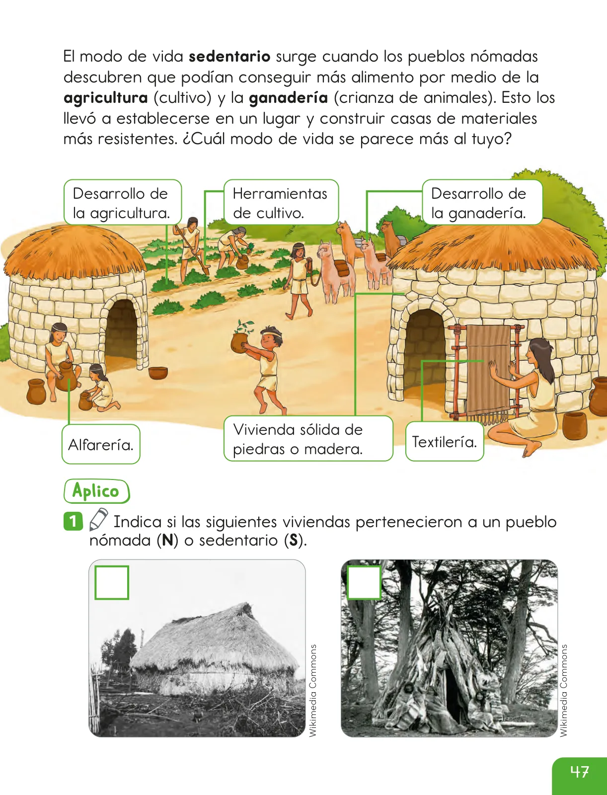 Página 49 de Historia, Geografía y Ciencias Sociales – Segundo Básico – Texto del Estudiante MINEDUC – Descargar PDF · 2024