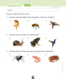 Miniatura página 120 de Ciencias Naturales – Segundo Básico | Texto del Estudiante MINEDUC – Descargar PDF · 2024