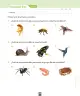 Miniatura página 120 de Ciencias Naturales – Segundo Básico | Texto del Estudiante MINEDUC – Descargar PDF · 2024