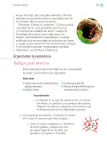 Miniatura página 192 de Proyectos Escolares.   Libro de Educación Primaria Grado 1°  Ciclo Escolar 2025 - 2026
