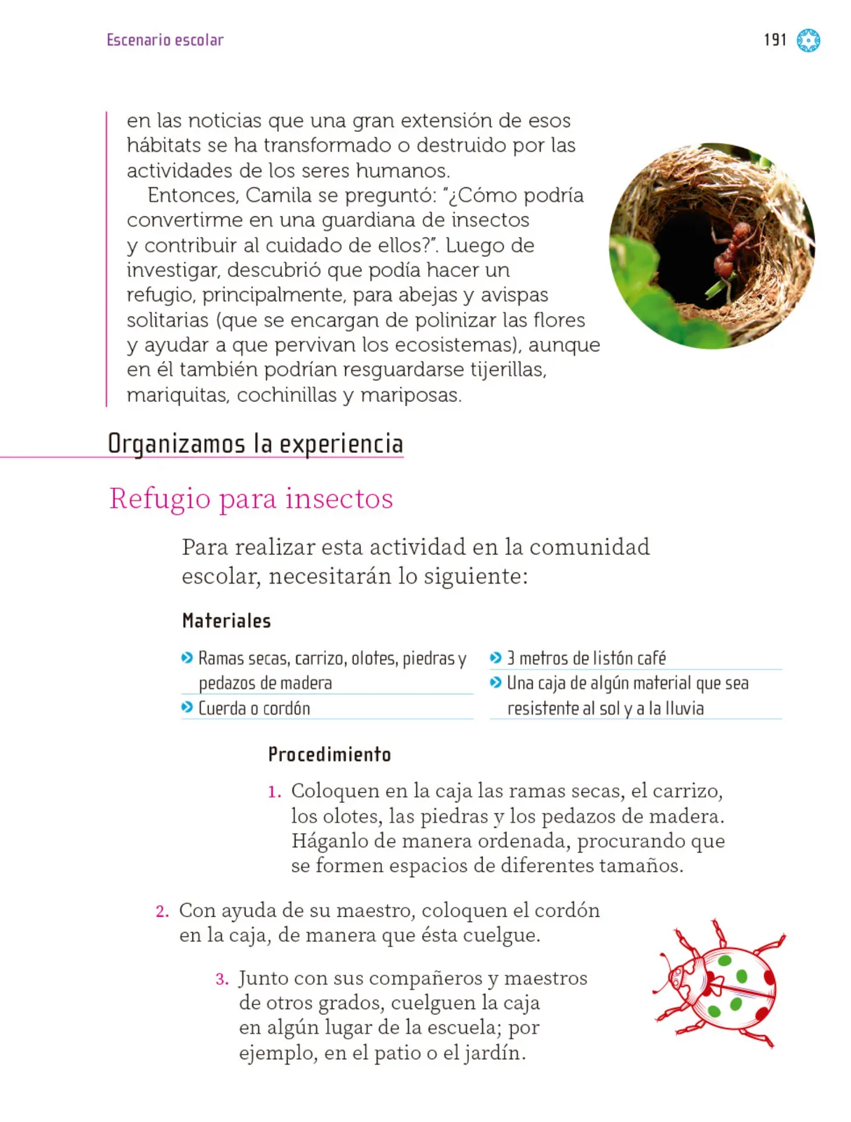 Miniatura página 192 de Proyectos Escolares.   Libro de Educación Primaria Grado 1°  Ciclo Escolar 2025 - 2026
