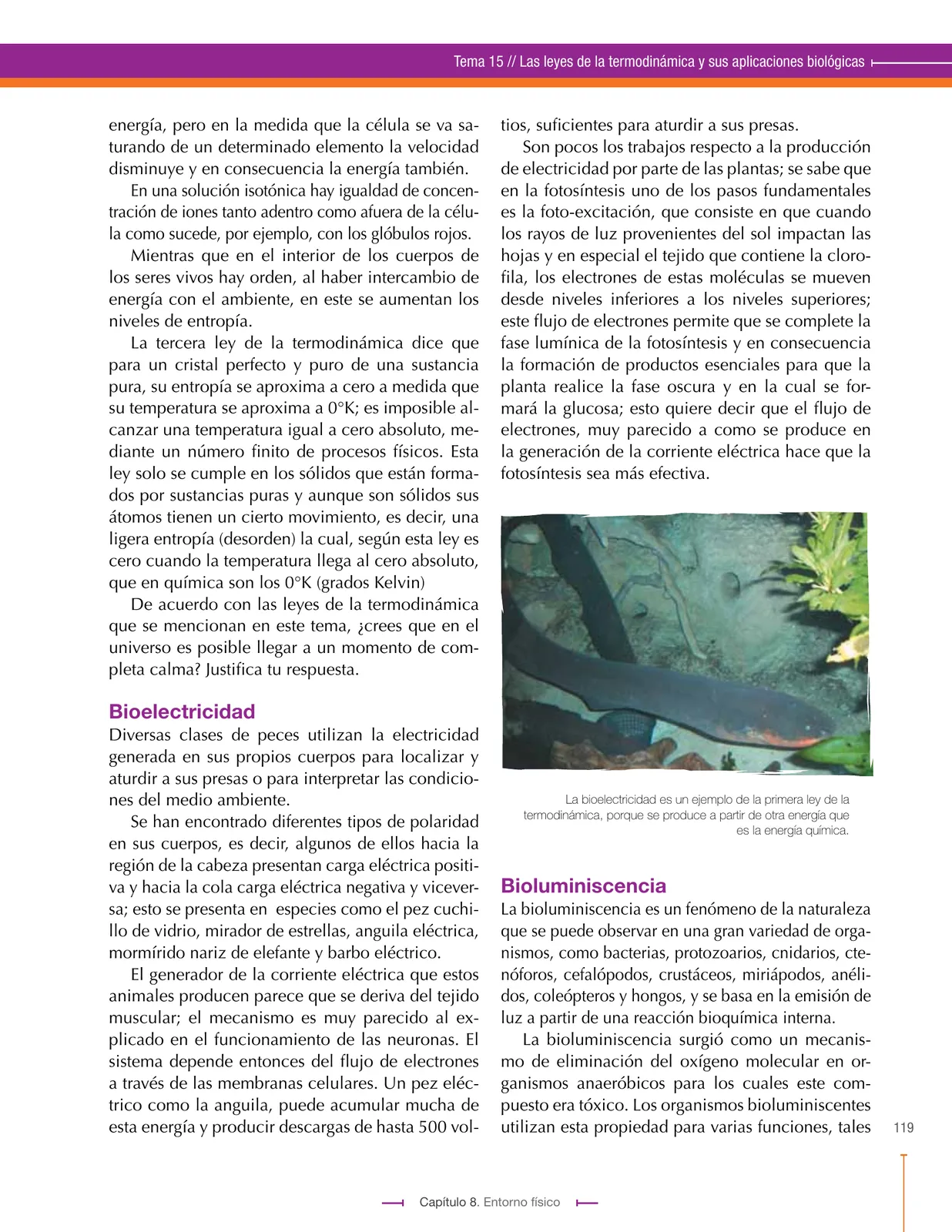 Pág 119