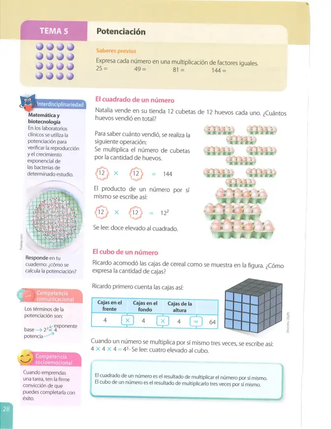 Página 29 de Matematica 7° · 2025