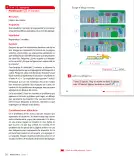 Miniatura página 58 de Sumo Primero – Primero Básico | Texto del Estudiante (MINEDUC) – Descargar PDF · 2024