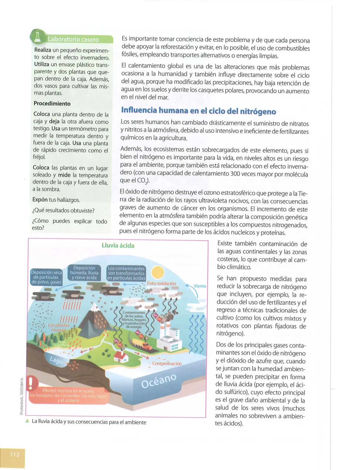 Miniatura página 111 de Ciencias Naturales · 8 EGB · 2025