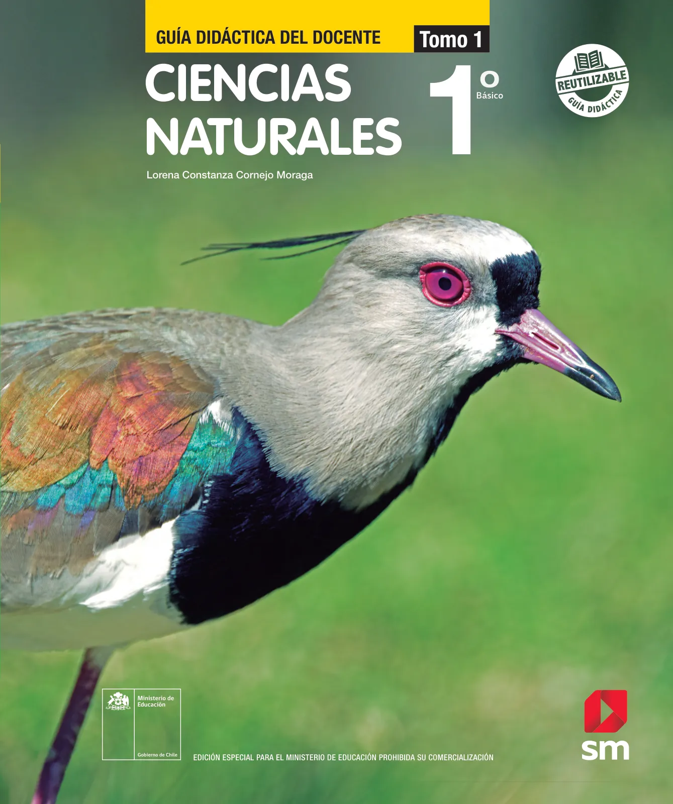 Página 1 de Ciencias Naturales – Primero Básico | Texto del Estudiante (MINEDUC) – Descargar PDF · 2024