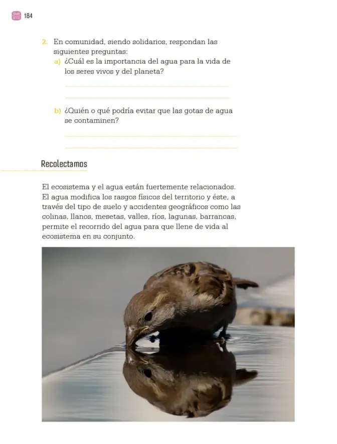 Página 187 de Proyectos Comunitarios. Libro de Educación Primaria Grado 3° Ciclo Escolar 2025 - 2026
