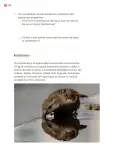 Pág 187