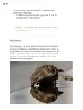 Miniatura página 187 de Proyectos Comunitarios.   Libro de Educación Primaria Grado 3°  Ciclo Escolar 2025 - 2026