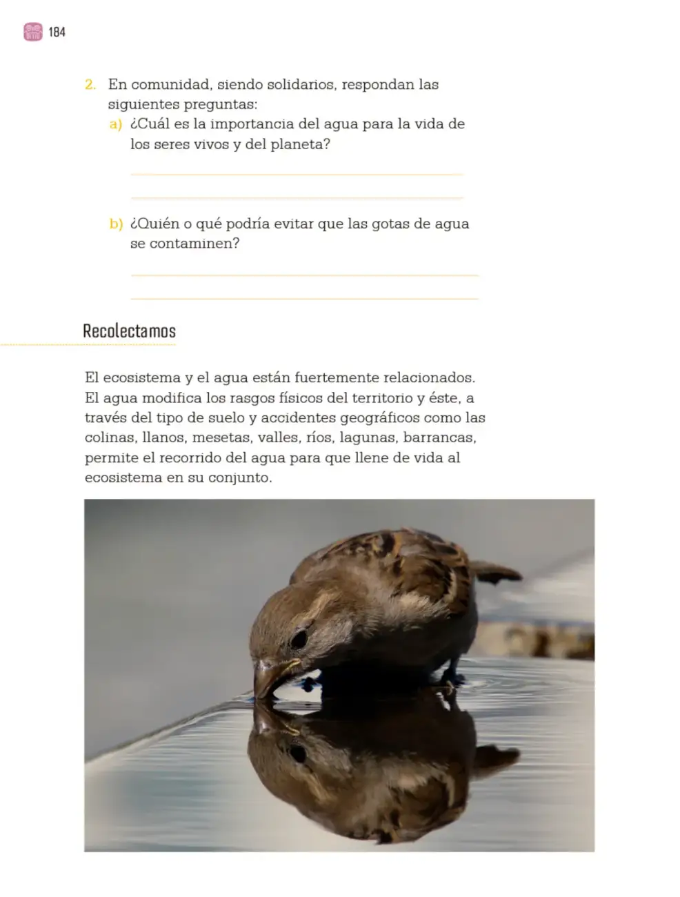 Página 187