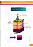 Miniatura página 64 de Ciencias Naturales 4° · Egb 4 Ciencias Naturales 2025 · 2025