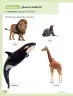 Miniatura página 29 de Ciencias Naturales – Segundo Básico | Texto del Estudiante MINEDUC – Descargar PDF · 2024