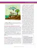 Miniatura página 107 de Ciencias Naturales 6° · Secundaria Activa