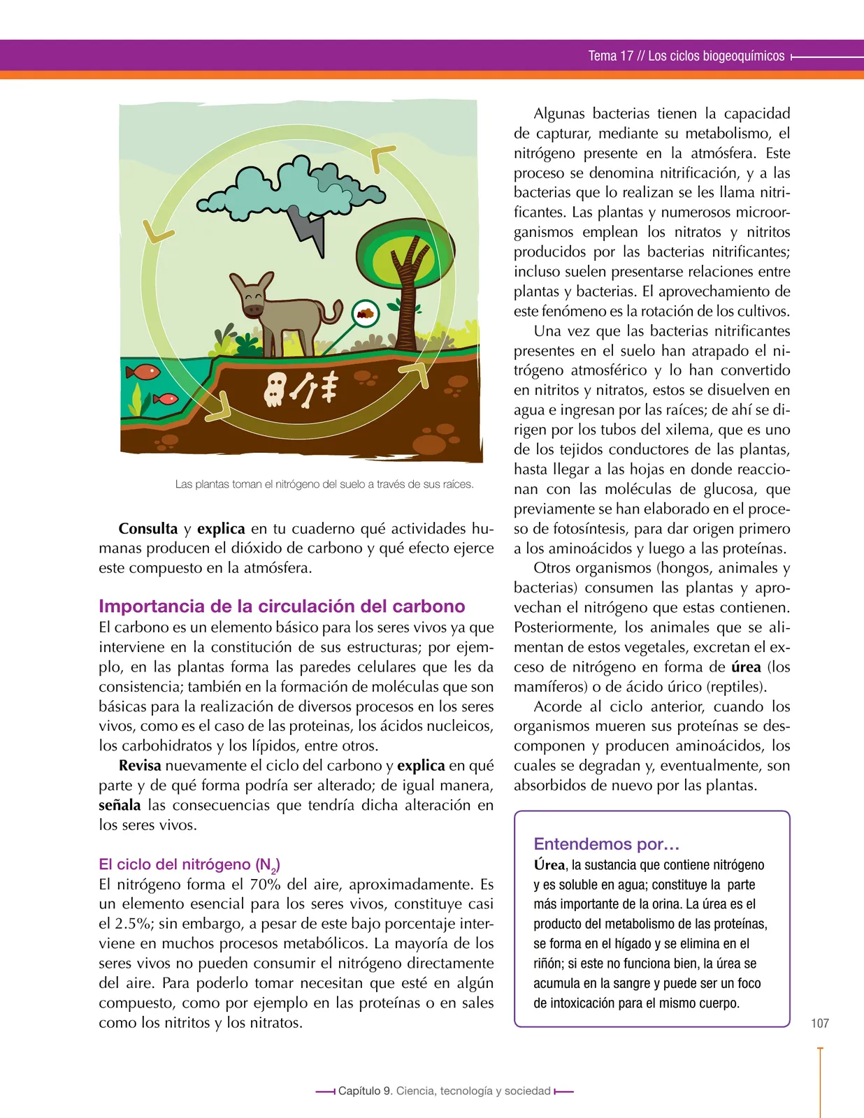 Miniatura página 107 de Ciencias Naturales 6° · Secundaria Activa