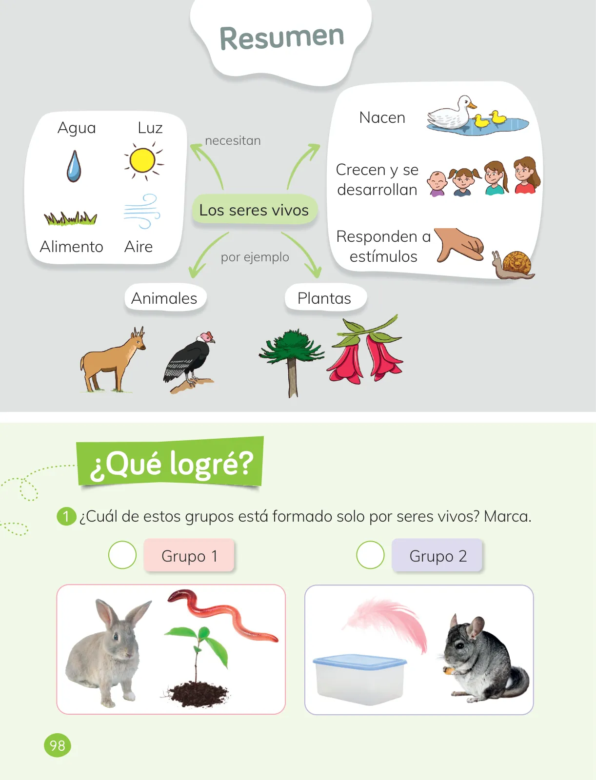 Miniatura página 100 de Ciencias Naturales – Primero Básico | Texto del Estudiante (MINEDUC) – Descargar PDF · 2024