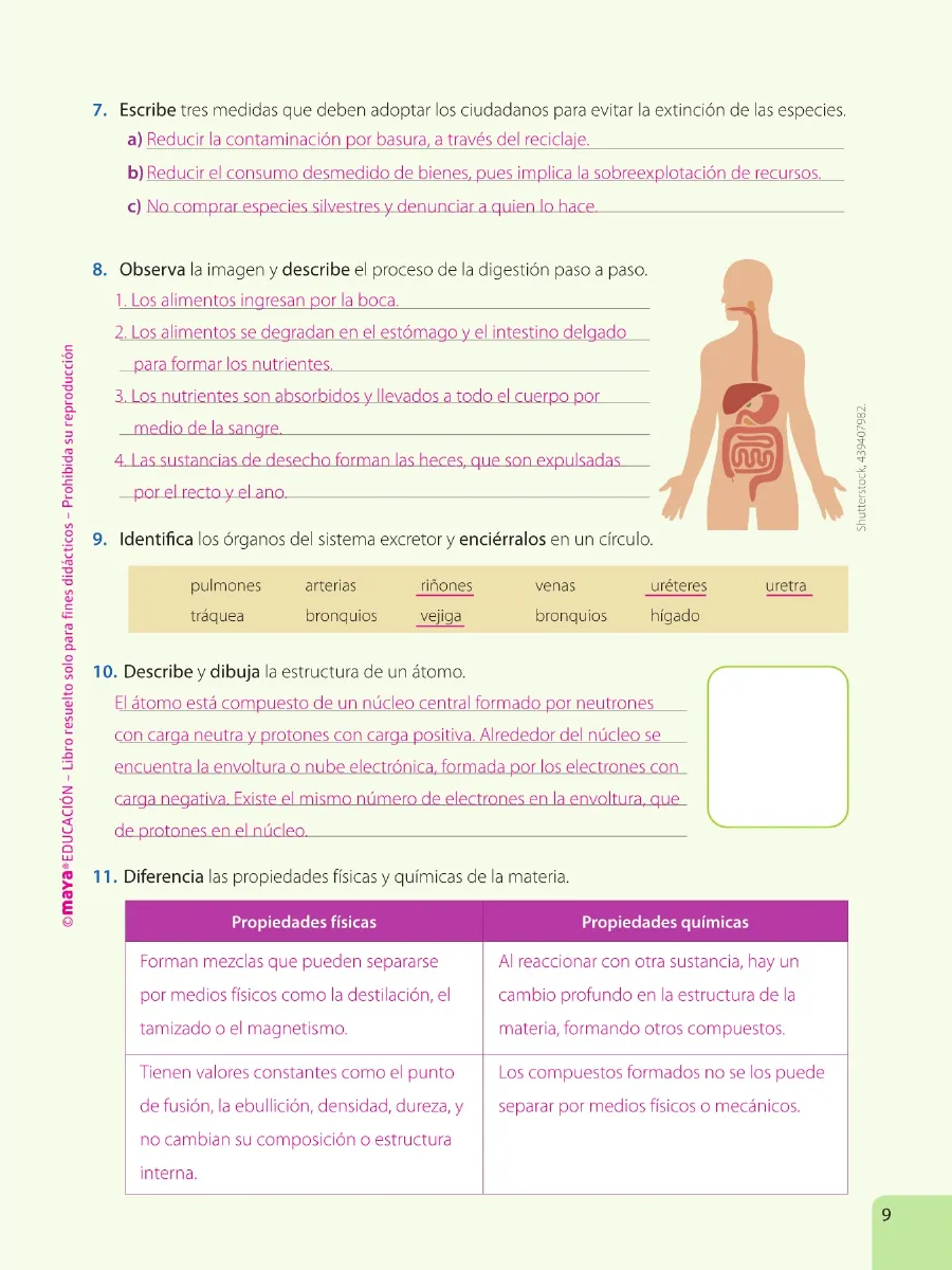 Página 11 de Ciencias Naturales · 6 EGB · 2025