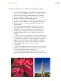 Miniatura página 124 de Proyectos Comunitarios.   Libro de Educación Primaria Grado 6°  Ciclo Escolar 2025 - 2026