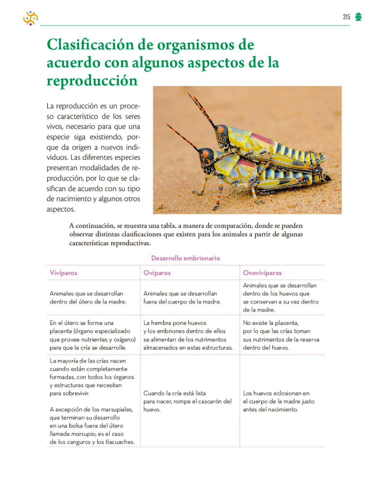 Miniatura página 216 de Colección Ximhai. Saberes y pensamiento científico.   Libro de Educación Telesecundaria Grado 1°  Ciclo Escolar 2025 - 2026